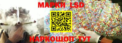 спиды Обь